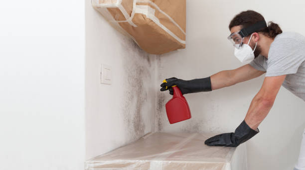 Professional Attic Mold Remediation technician working in Hillsborough, NC
