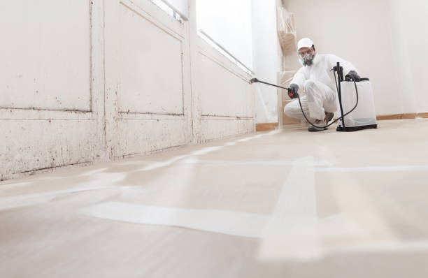 24/7 Emergency Attic Mold Remediation experts in Hillsborough, NC